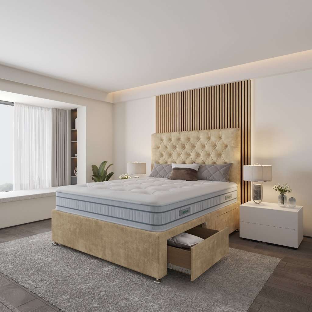 Windsor Divan Bed - Restium Beds